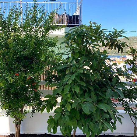 Citrus Apartment Argosztóli Kültér fotó