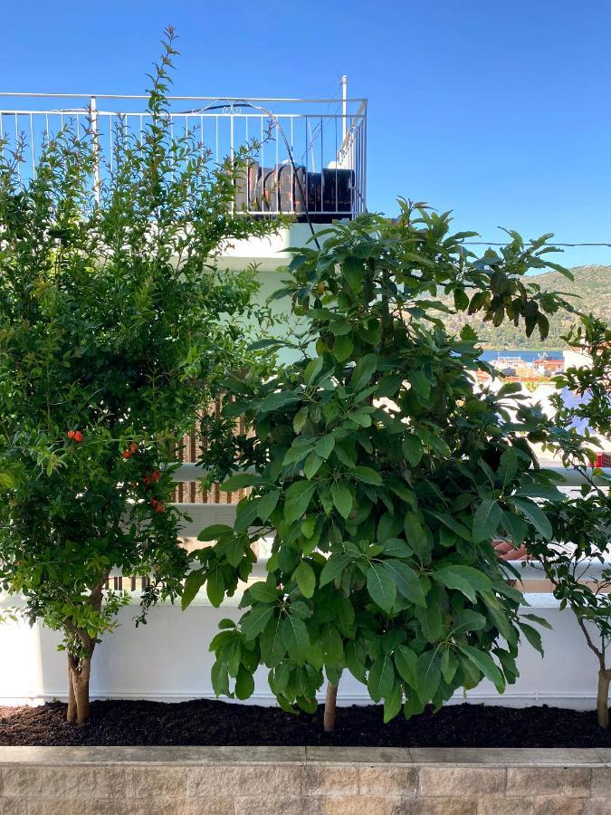Citrus Apartment Argosztóli Kültér fotó